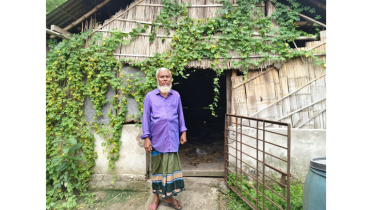 ঈশ্বরগঞ্জে এক রাতে ৮ গরু চুরি