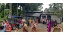 ঈশ্বরগঞ্জে ৬ দিনের ব্যবধানে ১৯টি গরু চুরি