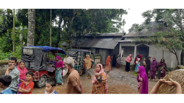 ঈশ্বরগঞ্জে ৬ দিনের ব্যবধানে ১৯টি গরু চুরি