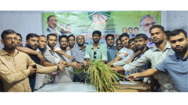 গৌরীপুরে ধানের শীষকে বিজয়ী করতে ধানের তোড়া নিয়ে অঙ্গীকার