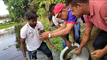 বিএনপির প্রতিষ্ঠাবার্ষিকী উপলক্ষে ঈশ্বরগঞ্জে পোনা মাছ অবমুক্ত 