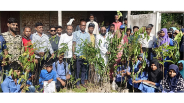 গৌরীপুরে শিক্ষার্থীদের গাছের চারা উপহার