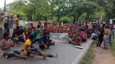 চা-শ্রমিকদের মজুরি ২৫ টাকা বাড়িয়ে ১৪৫ টাকা নির্ধারণ