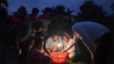 পোকা দমনে জনপ্রিয় হয়ে উঠছে আলোক ফাঁদ