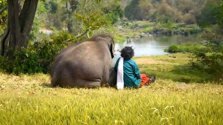 ভারতীয় সিনেমা ‘দ্য এলিফ্যান্ট হুইস্পারার্স’ এর অস্কার জয়