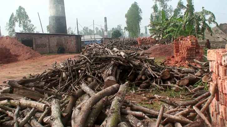 রায়গঞ্জে অবৈধ ইটভাটায় পুড়ছে কাঠ, দুষিত হচ্ছে পরিবেশ