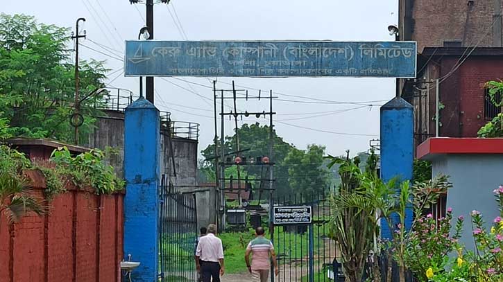 কেরু চিনিকলে মাড়াই মৌসুম উদ্বোধন, লক্ষ্যমাত্রা ৬২ হাজার মে.টন কেরু চিনিকলে মাড়াই মৌসুম উদ্বোধন, লক্ষ্যমাত্রা ৬২ হাজার মে.টন