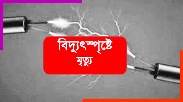 মাছ চুরি ঠেকাতে বিদ্যুৎ সংযোগ, প্রাণ গেল ২ জনের