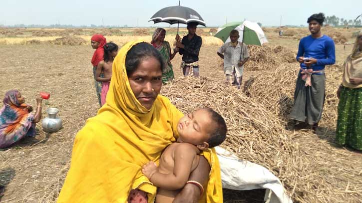 মা কৃষিশ্রমিক, সাত মাসের শিশু পুড়ছে রোদে মা কৃষিশ্রমিক, সাত মাসের শিশু পুড়ছে রোদে
