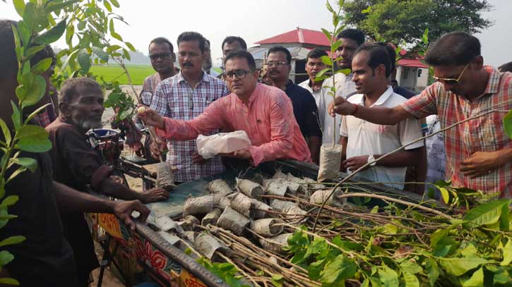 তাড়াশে শেখ হাসিনার জন্মদিনে ৭৬ হাজার গাছের চারা বিতরণ সঞ্জিতের কর্মকারের