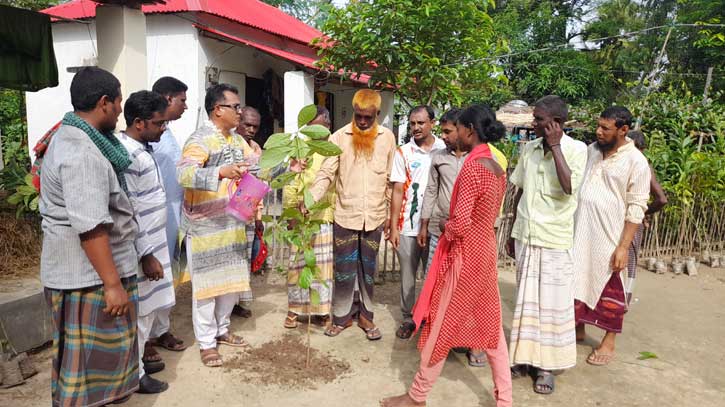 তাড়াশে শেখ হাসিনার জন্মদিন উপলক্ষে ৪০ হাজার চারা বিতরণ তাড়াশে শেখ হাসিনার জন্মদিন উপলক্ষে ৪০ হাজার চারা বিতরণ