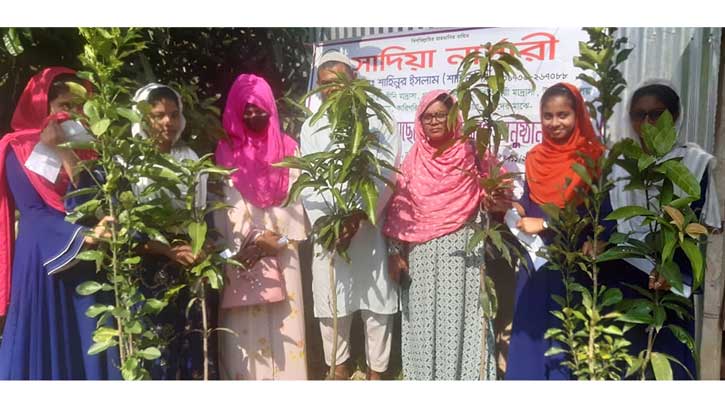 তাড়াশে শিক্ষাপ্রতিষ্ঠানে বিনামুল্যে ফলদ গাছের চারা বিতরণ