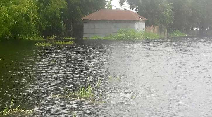 তিস্তার পানি বৃদ্ধিতে পানিবন্দি ৫ হাজার পরিবার তিস্তার পানি বৃদ্ধিতে পানিবন্দি ৫ হাজার পরিবার